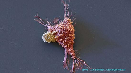 江苏省做试管婴儿比较好的医院有哪几家？