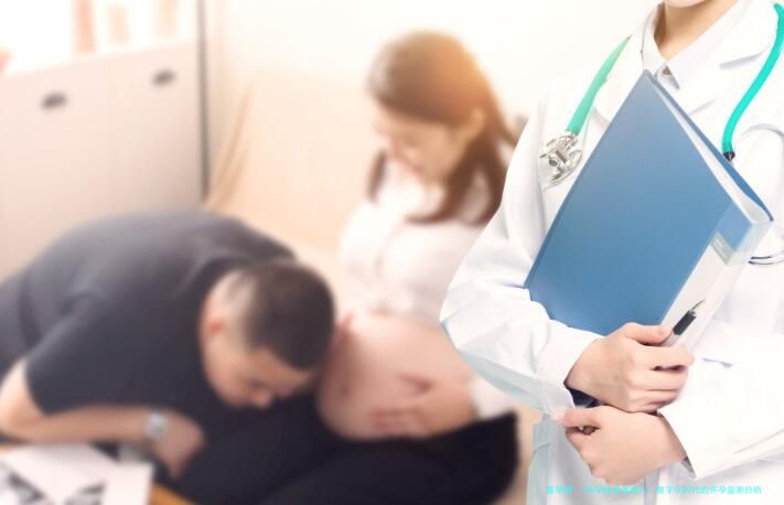 怀孕检查单图片：数字化时代的怀孕监测分析与个人见解