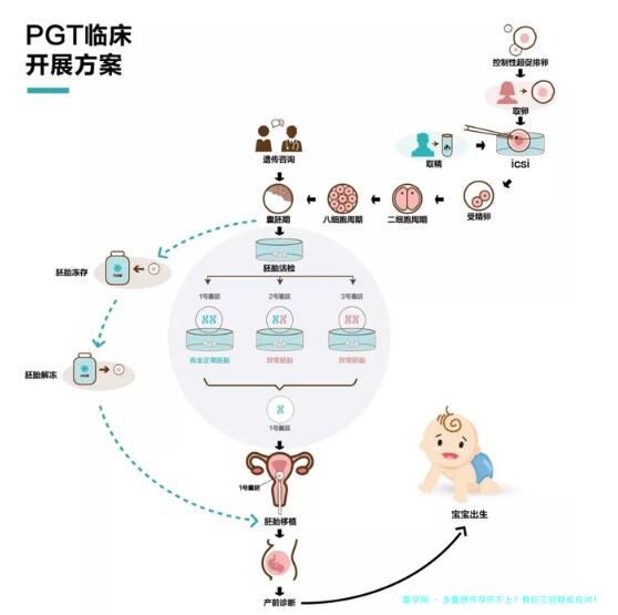 多囊想怀孕怀不上？教你三招轻松应对！