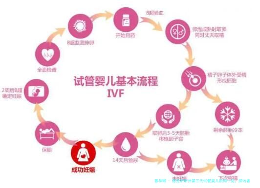 德克萨斯州第三代试管婴儿机构一览，探访者心声分享