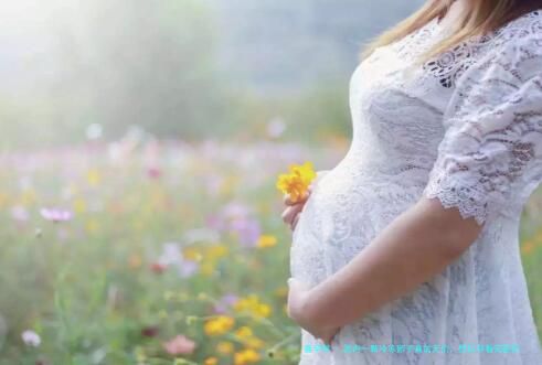 国内一颗冷冻卵子真的无价，想好孕看完医院费用详情再说