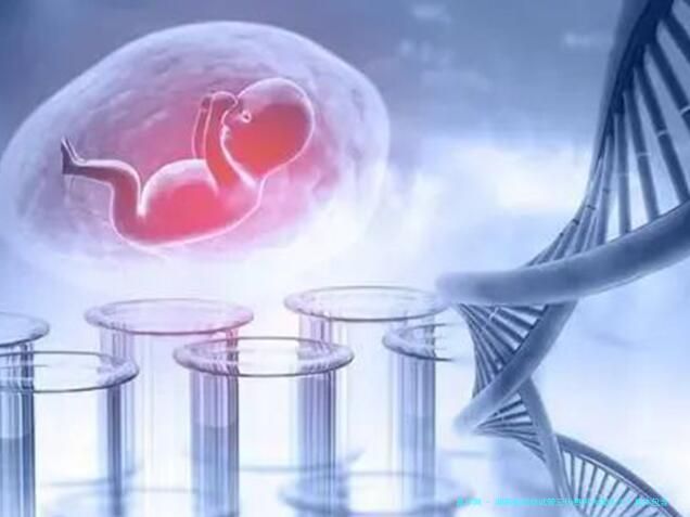 湖南省妇幼试管三代费用大概多少？具体包含哪几个收费项目？