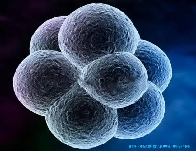 格鲁吉亚试管婴儿费用解析，费用构成与影响因素分析