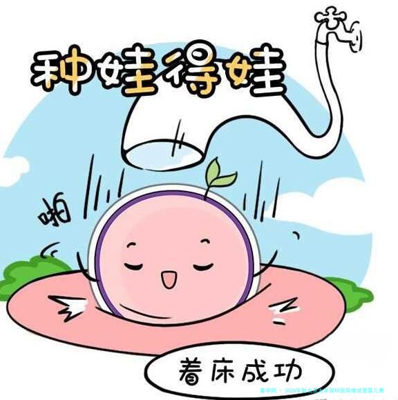 2026年到北京大学深圳医院做试管婴儿费用大概是多少？有费用表参考吗？