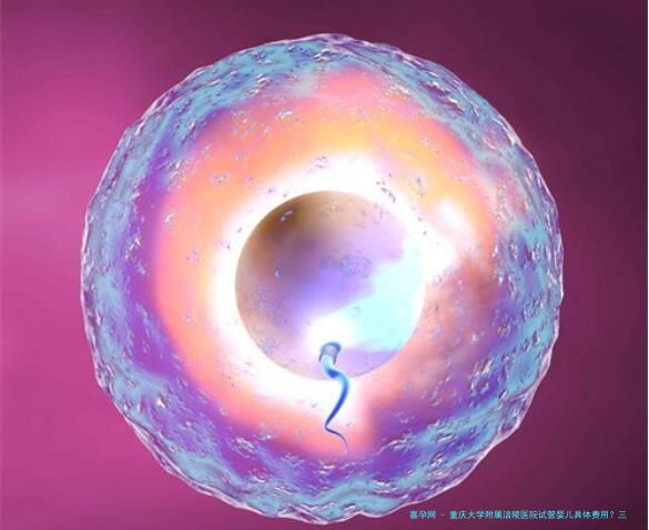 重庆大学附属涪陵医院试管婴儿具体费用？三代试管价格真的很贵吗？