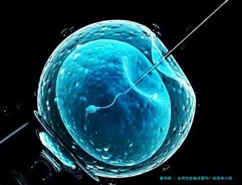 女同性能做试管吗？的简单介绍