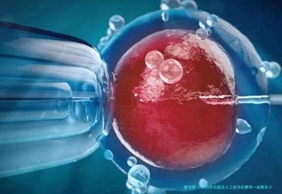 2026年石家庄人工助孕的费用一般要多少钱？