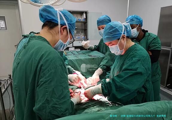 详情!宜春较大的助孕公司有几个 首家推荐,助您省钱省心