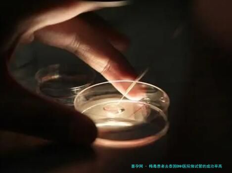 梅毒患者去泰国BNH医院做试管的成功率高吗？有哪些因素会影响试管成功率