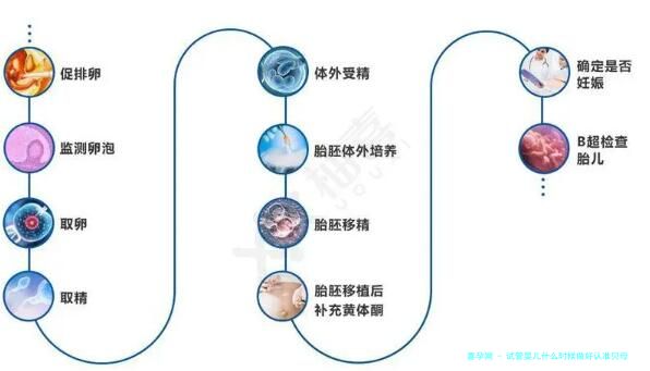 试管婴儿什么时候做好认准贝母