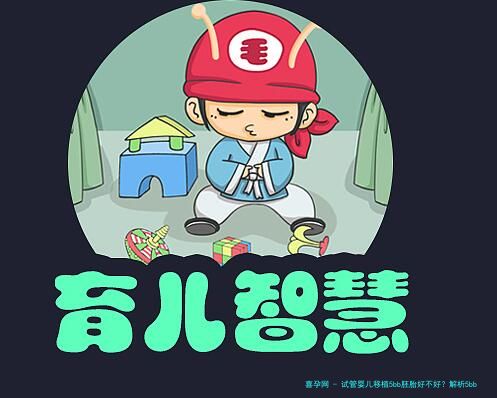 试管婴儿移植5bb胚胎好不好？解析5bb等级胚胎的成功率与正常性