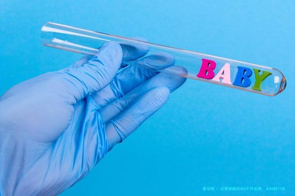 试管移植后HCG不升反降，从84到71该怎么办？专家：这可能是胚胎信号
