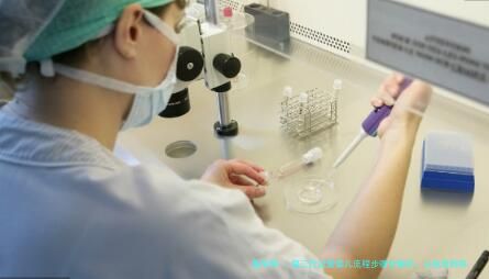 第三代试管婴儿流程步骤全解析：从检查到移植的详细指南