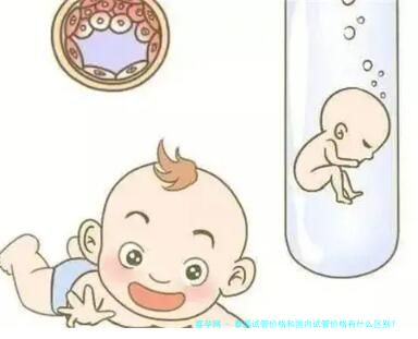 泰国试管价格和国内试管价格有什么区别？