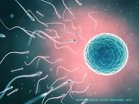 全国排名前十的试管三甲医院有哪些？附带三代试管排名前三医院,助孕成功率哪家高？